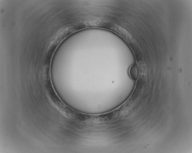 X0000071940738200607281943