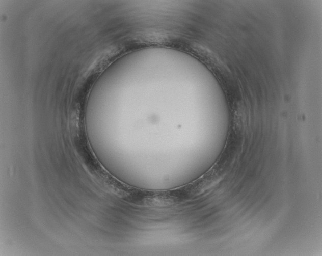 X0000071940739200607281943