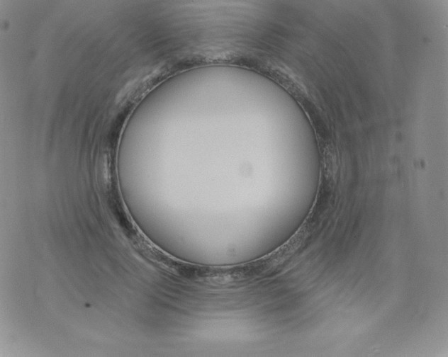 X0000071940740200607281943