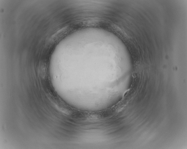 X0000071940741200607281943