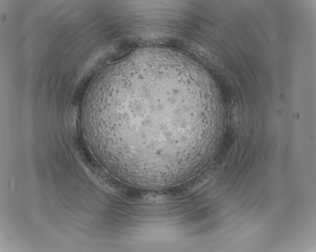 X0000071940742200607281943