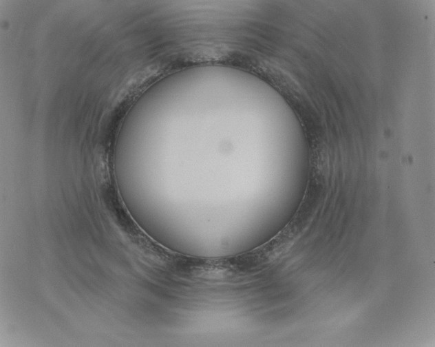 X0000071940743200607281943