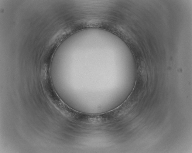 X0000071940744200607281943