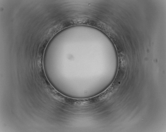 X0000071940745200607281943