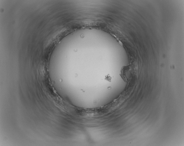 X0000071940746200607281943