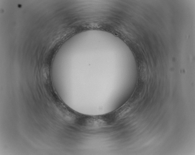 X0000071940747200607281943