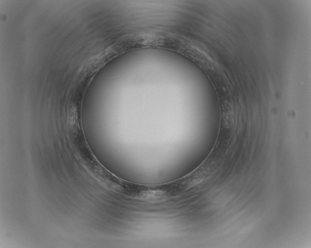 X0000071940748200607281943