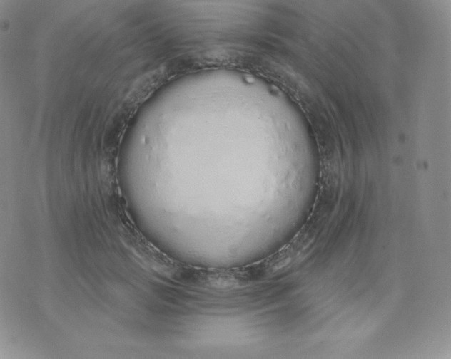 X0000071940749200607281943