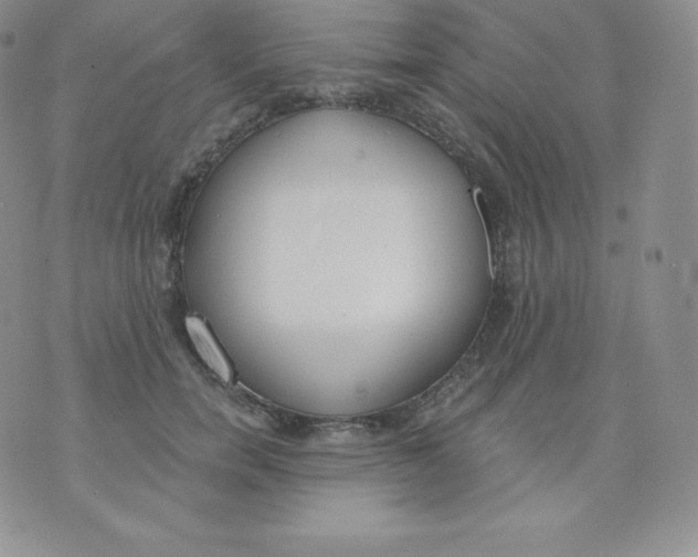 X0000071940750200607281943