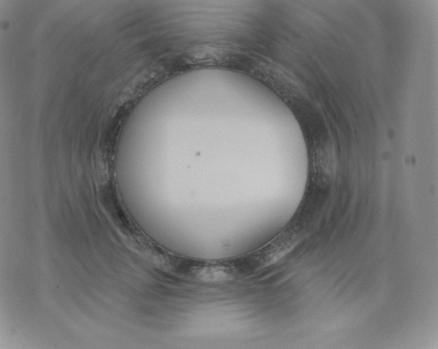 X0000071940751200607281943