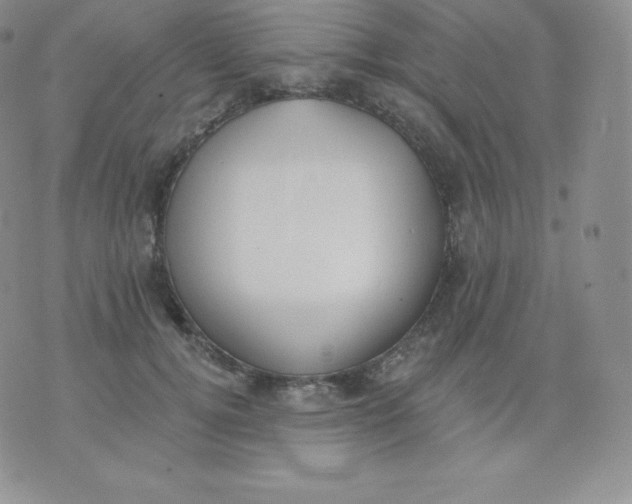 X0000071940752200607281943