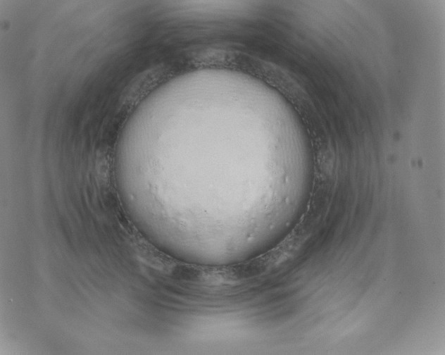 X0000071940753200607281943