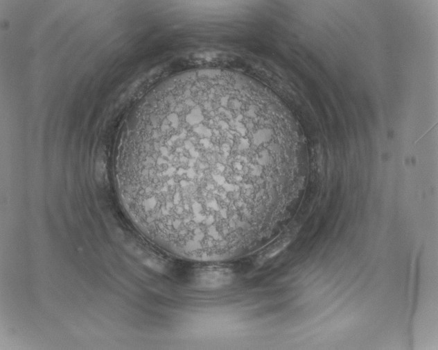 X0000071940754200607281943