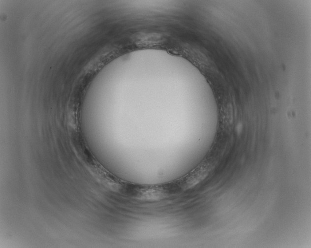 X0000071940755200607281943