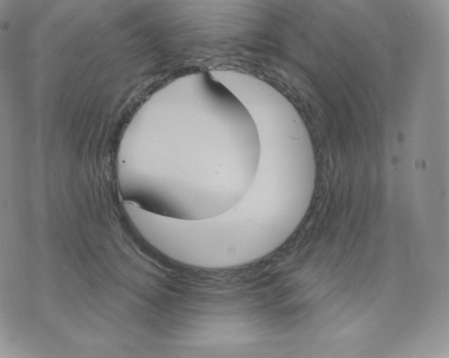 X0000071940756200607281943