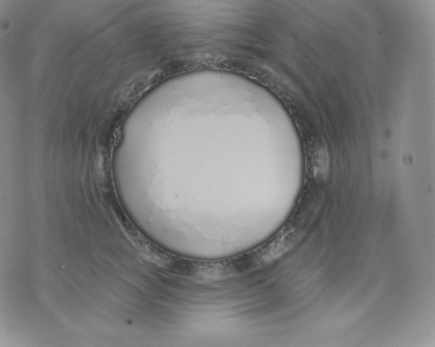 X0000071940757200607281943