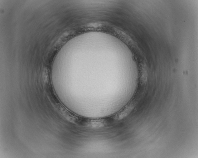 X0000071940758200607281943