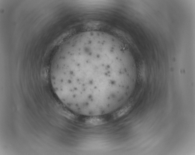 X0000071940759200607281943