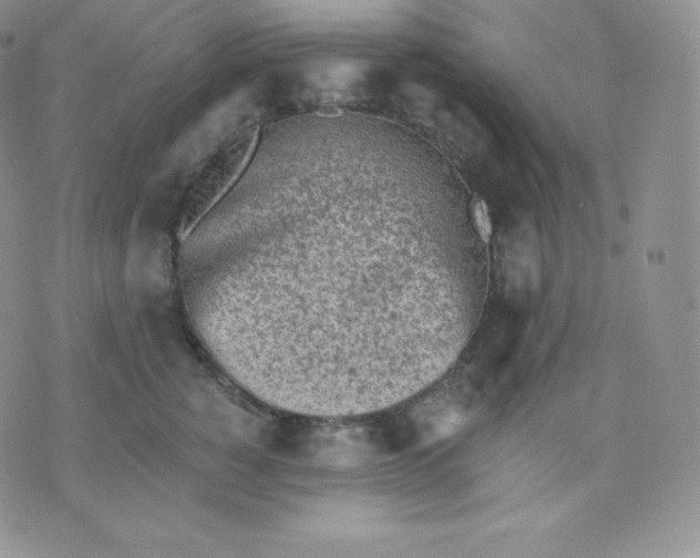 X0000071940760200607281943