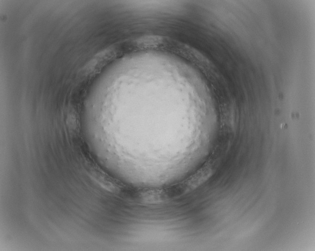 X0000071940761200607281943