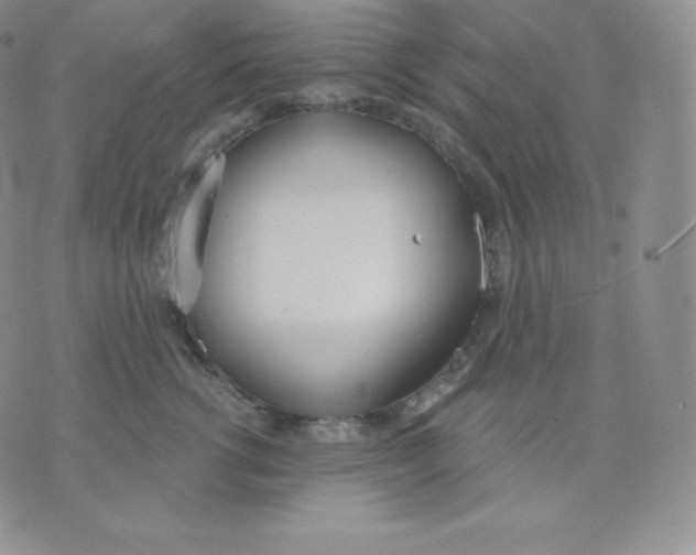 X0000071940762200607281943