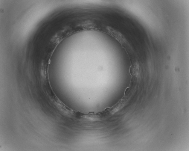 X0000071940763200607281943