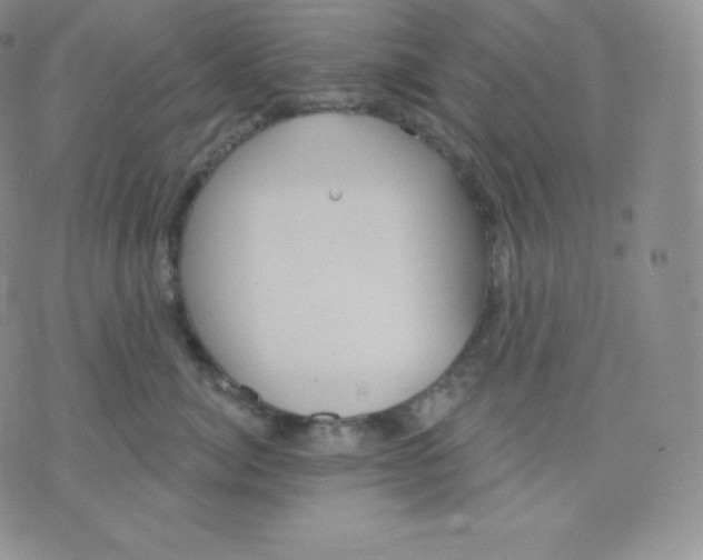 X0000071940764200607281943