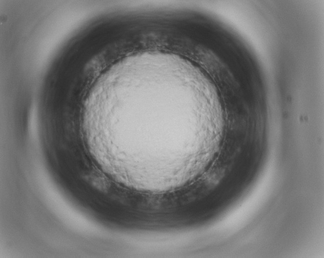 X0000071940765200607281943