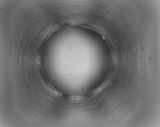 X0000071940766200607281943