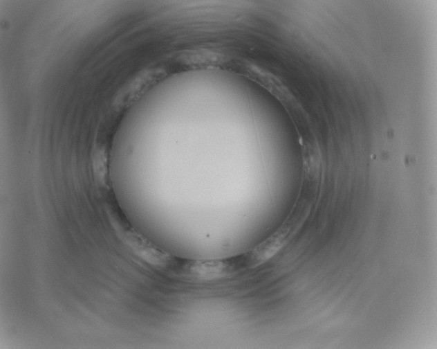 X0000071940767200607281943