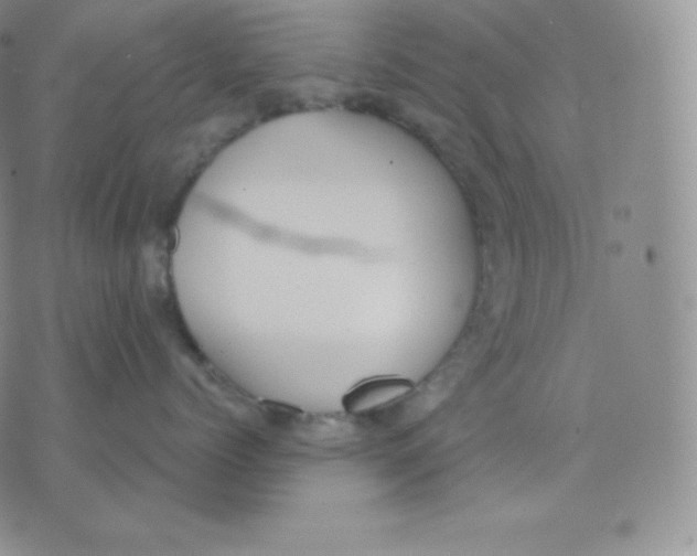 X0000071940768200607281943