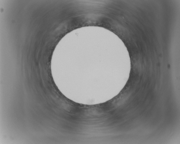 X0000071940769200607281942