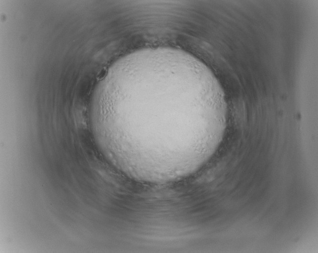 X0000071940770200607281942