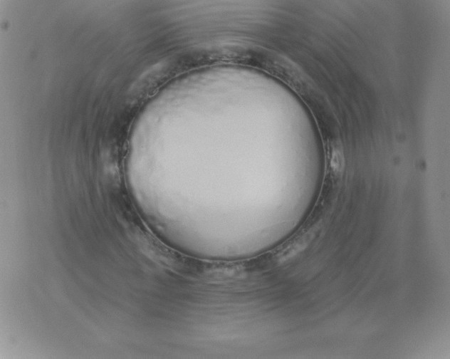 X0000071940771200607281942