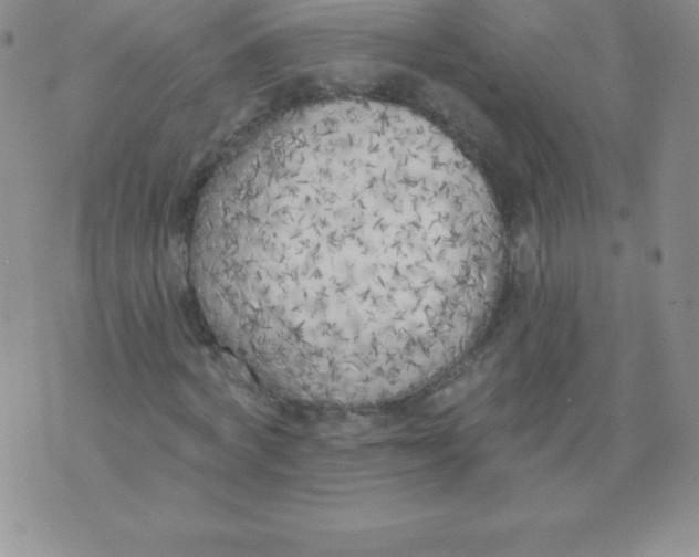 X0000071940772200607281942