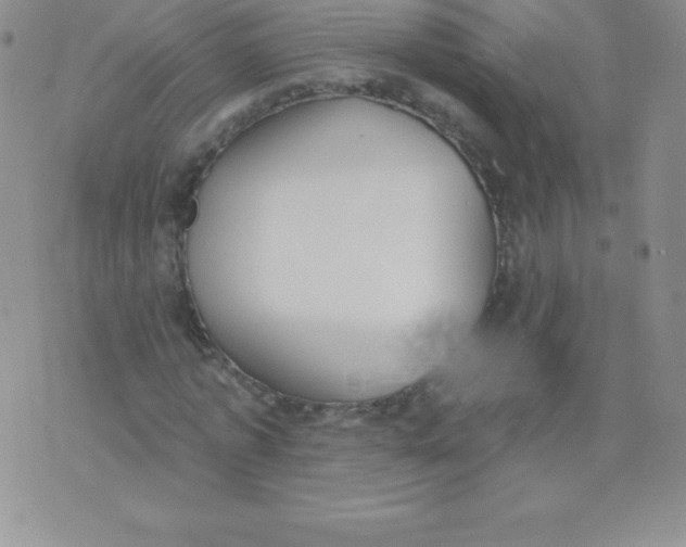 X0000071940773200607281942