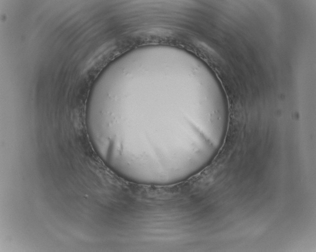 X0000071940774200607281942