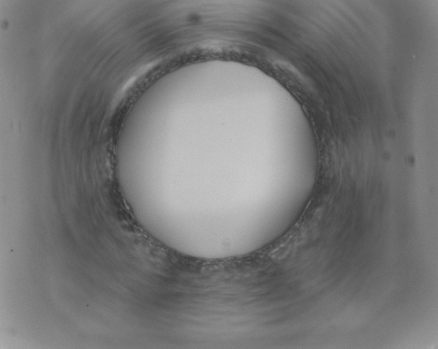 X0000071940776200607281942