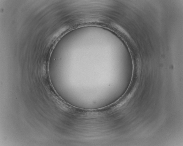 X0000071940777200607281942