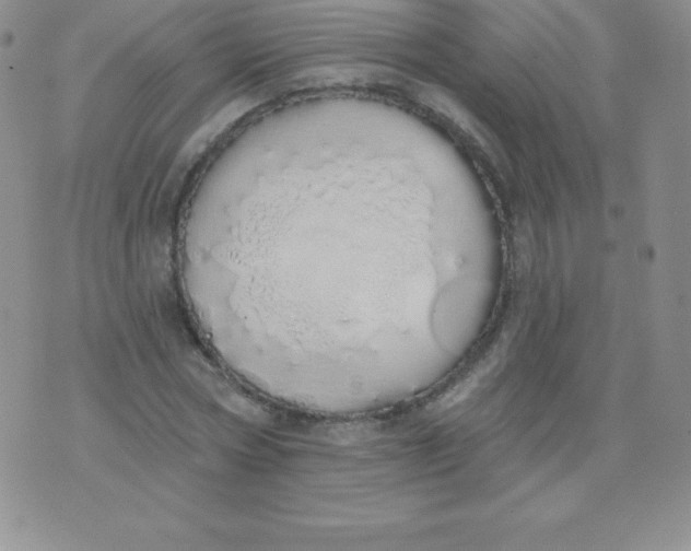 X0000071940778200607281942