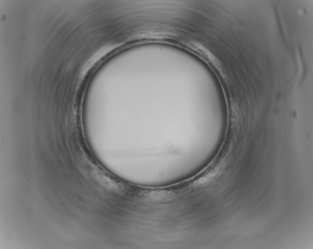 X0000071940779200607281942