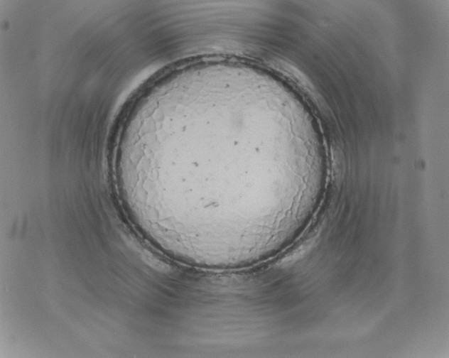 X0000071940780200607281942