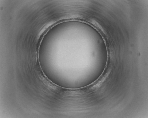 X0000071940781200607281942