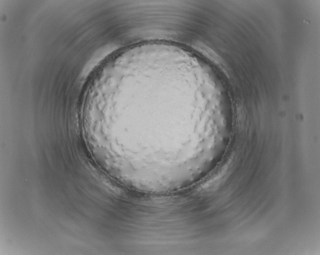 X0000071940782200607281942