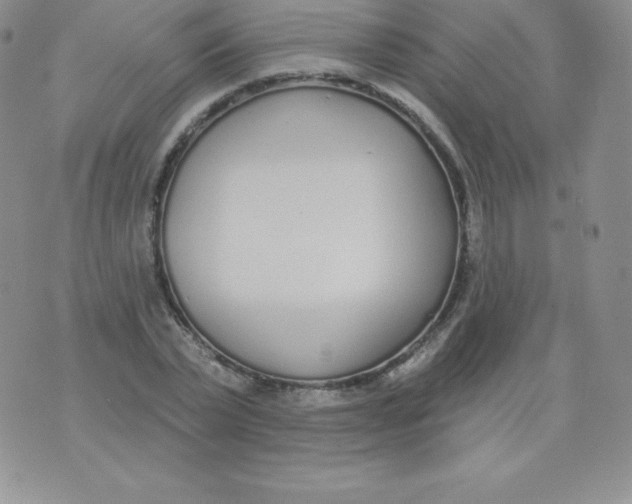 X0000071940783200607281942