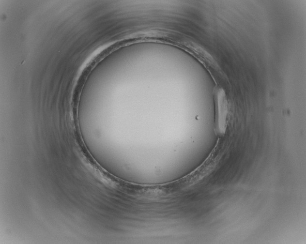 X0000071940784200607281942