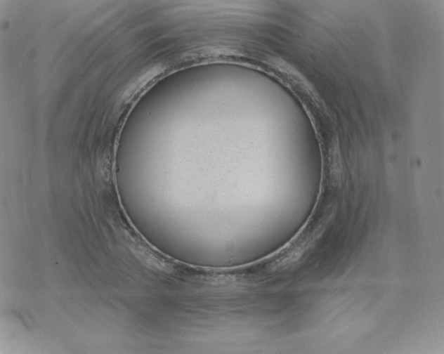 X0000071940785200607281942