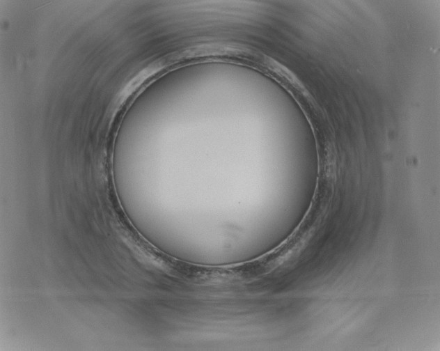 X0000071940786200607281942