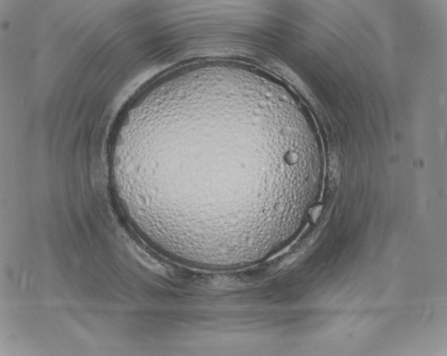 X0000071940787200607281942