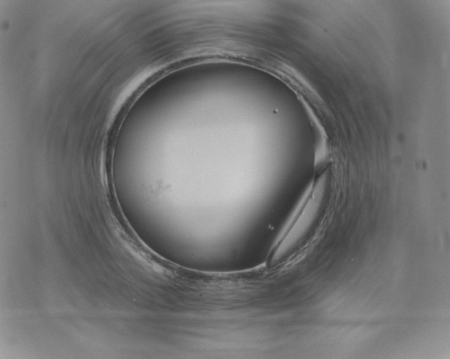 X0000071940788200607281942